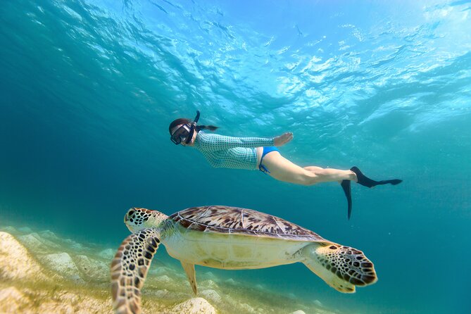 Turtle Beach
